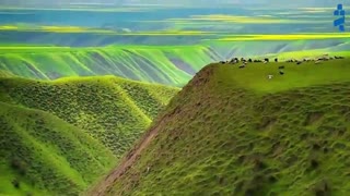 ترکمن صحرا, بوم نقاشی در شمال ایران