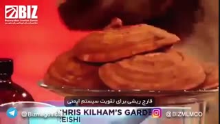 گانودرما معجزه قرن قارچ ریشی گانودرما درمان گانودرما چیست واقعیتی به نام گانودرما