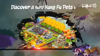 Kung Fu Pets