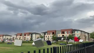 مهاجرت زیبای تشک های وحشی به قلمرو جدید