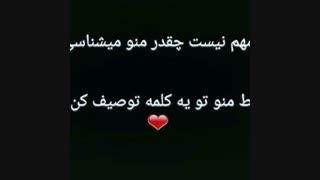همه بگید پلیر