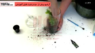 آموزش پرورش گل پرسیاوش در تراریوم