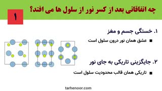 قسمت 1: بررسی ریشه های یک کسب و کار موفق