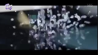 سرشماری اکسوالهای نماشا... بدوئین بیاین بچه ها