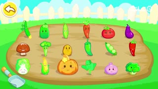 Vegetable Fun