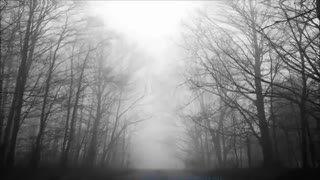 آهنگ Echo از Jason Walker