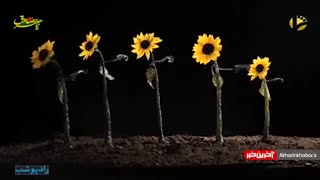 نماهنگ گل خندان - محمدرضا قربانی