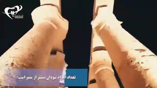 چند حقیقت جالب در مورد کشور مصر | دکتر فیروزی