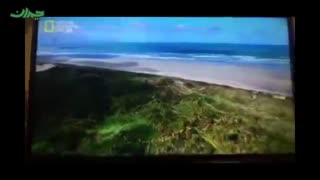 پخش برنامه حیات‌وحش از شبکه ماهواره‌ای نشنال جئوگرافیک فارسی