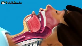 عمل جراحی لوزه