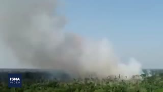 تهدید جدی بیخ گوش بزرگترین جنگل بارانی دنیا