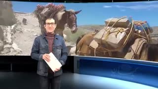 بزرگترین ربات قاطر جهان به سربازان کمک می‌کند!