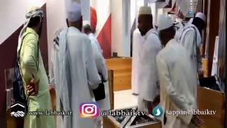 نخل و خرما در مدینه