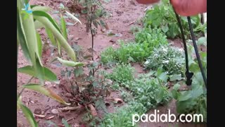 معرفی و نحوه نصب مه پاش تک وجهی پلیمری