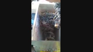 آب انگور گیری اتوماتیک ایرانی