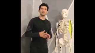 صفر تا صد حرکت جلو بازو هالتر ای زد