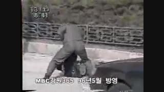 انجمن هنرهای رزمی بادیگاردی ایران