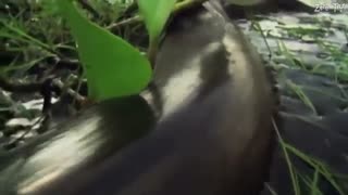 جنگ ابر قدرتهای