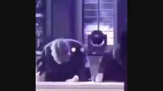 وقتی یادم میوفته کمتر از ی ماه دیگه قراره مدرسه منو بگشاید