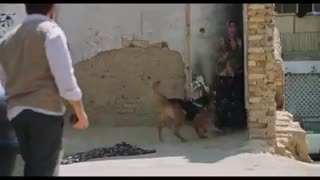 سینمایی متری شش و نیم(کامل)(قانونی)| سینمایی متری شش و نیم