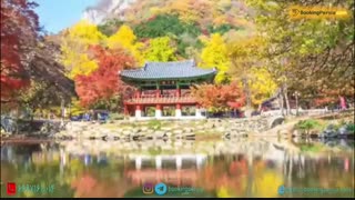 کره جنوبی، کشور جنگل های زیبا و افسانه های ماندگار- بوکینگ پرشیا bookingpersia