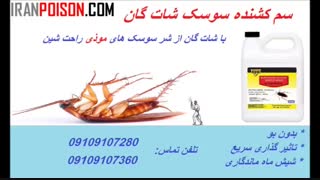 فروش سم با اثر فوری و قیمت باور نکردنی
