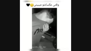 بی خیال عشق وخریت