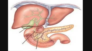جهت مواد گوارشی