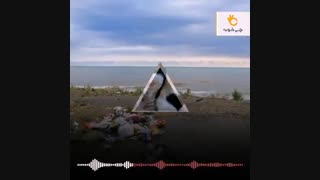 آمار تکان دهنده از نابودی محیط زیست در ایران