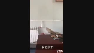 عاقاااا XDDD