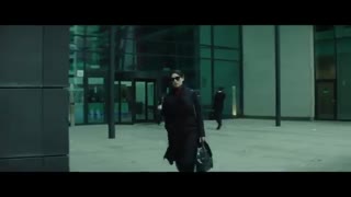 Spider in the Web 2019