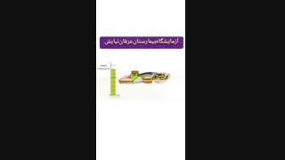 چگونه می توان از کلسترول بالا جلوگیری کرد ؟