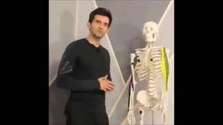 هم چیز در مورد جلو بازو دمبل  نیمکت شیبدار