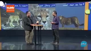 از چه زمانی حس کردیم یوز ایرانی در خطر است؟