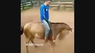 ❤خیلی جالبه حتما تماشا کنید❤ (69)