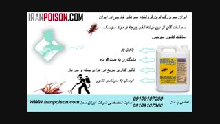 فروش سموم انواع حشرات موذی و گزنده عقرب و مار