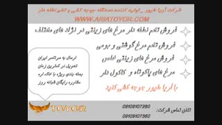 مرکز فروش تخم نطفه دار در ایران