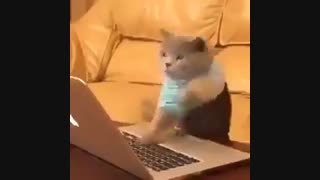 من وقتی دارم تایپ میکنم XD