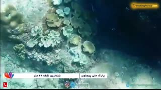 پارک ملی پیچئون، دو جزیره زیبا در سریلانکا - بوکینگ پرشیا bookingpersia