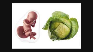 مراقبت های بارداری از هفته اول تا آخر