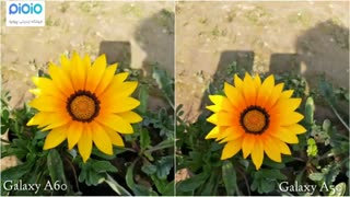 مقایسه دوربین گوشی های سامسونگ گلکسی A60 و A50