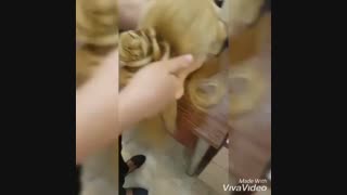 آموزش فوق تخصصی شینیون مو در قصر مانلی