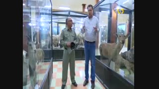 برنامه همسفر: موزه حیات وحش زنجان