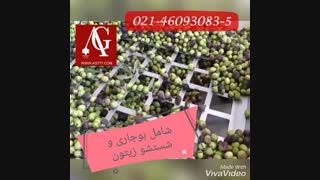 طرح توجیهی دستگاه روغن گیری زیتون