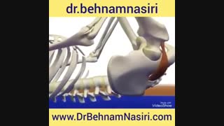 نحوه کشش عضله پیریفورمیس