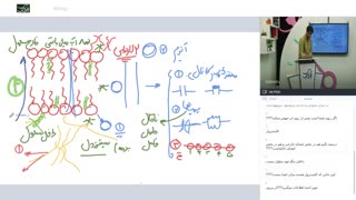 زیست شناسی کنکور استاد:حسام حاجی یوسف