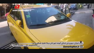 آپشن آریو z300 - آینه تاشو برقی آریو