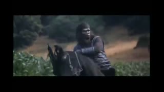 Planet of the Apes 1968