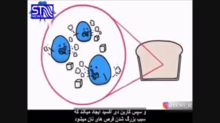 باکتری های خوشمزه