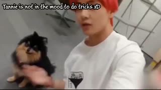 بی تی اس تهیونگ و یونتان تولدت مبارک یونتان گوگولی ترین سگ جهان bts yeontan moments